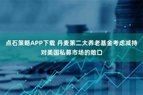 点石策略APP下载 丹麦第二大养老基金考虑减持对美国私募市场的敞口