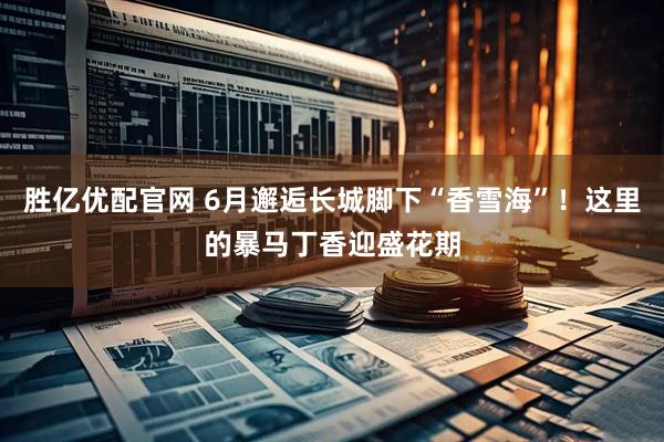胜亿优配官网 6月邂逅长城脚下“香雪海”！这里的暴马丁香迎盛花期